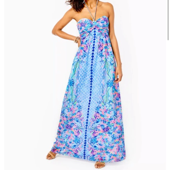 Lilly Pulitzer Dresses & Skirts - Lilly Pulitzer Hidden Treasure Engine Maxi Dress
